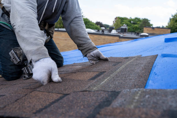Best Rubber Roofing (EPDM, TPO)  in Arthur, IL